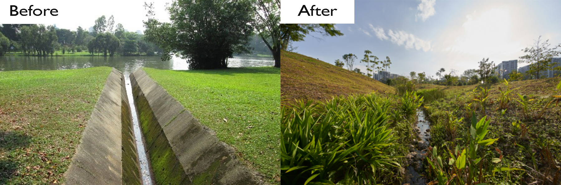 Neram Streams, Lakeside Garden at Jurong Lake Gardens