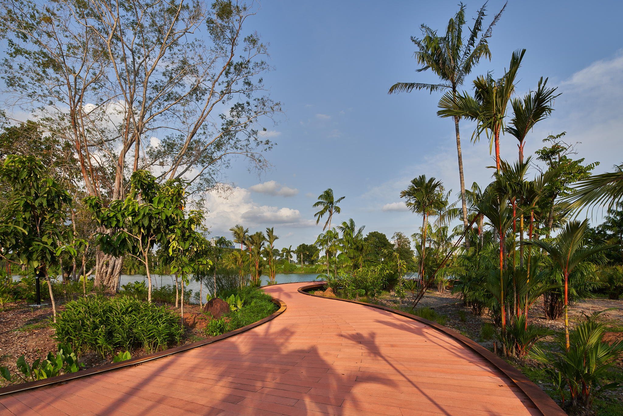 Rasau Boardwalk, Jurong Lake Garden Singapore