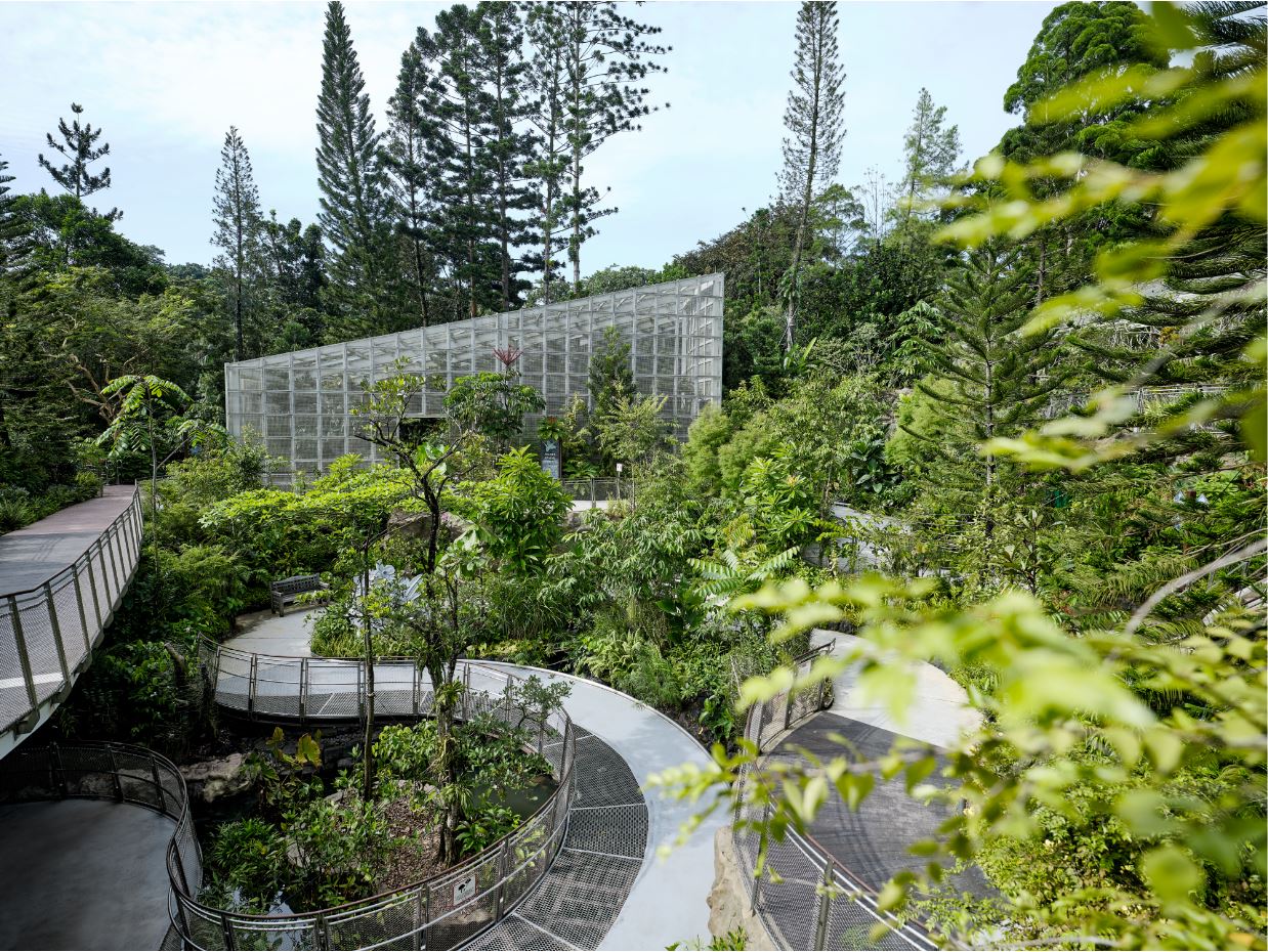 The Secret Ravine, a long and winding path that connects all three display houses in the National Orchid Garden
