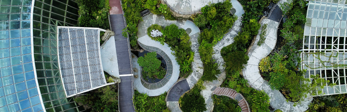 Enhanced National Orchid Garden further promotes Orchid Biodiversity Conservation