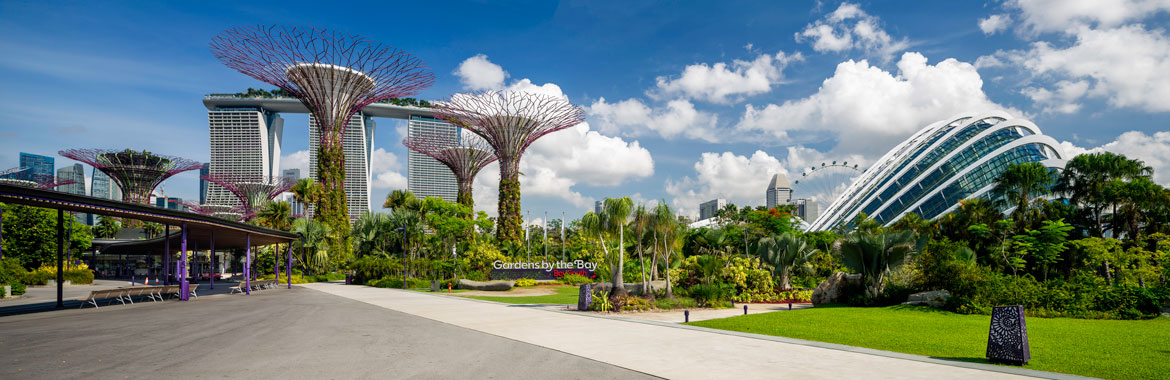 Why People are Flocking to Biophilic Design. An example of a biophilic design is shown in Gardens By The Bay, Singapore